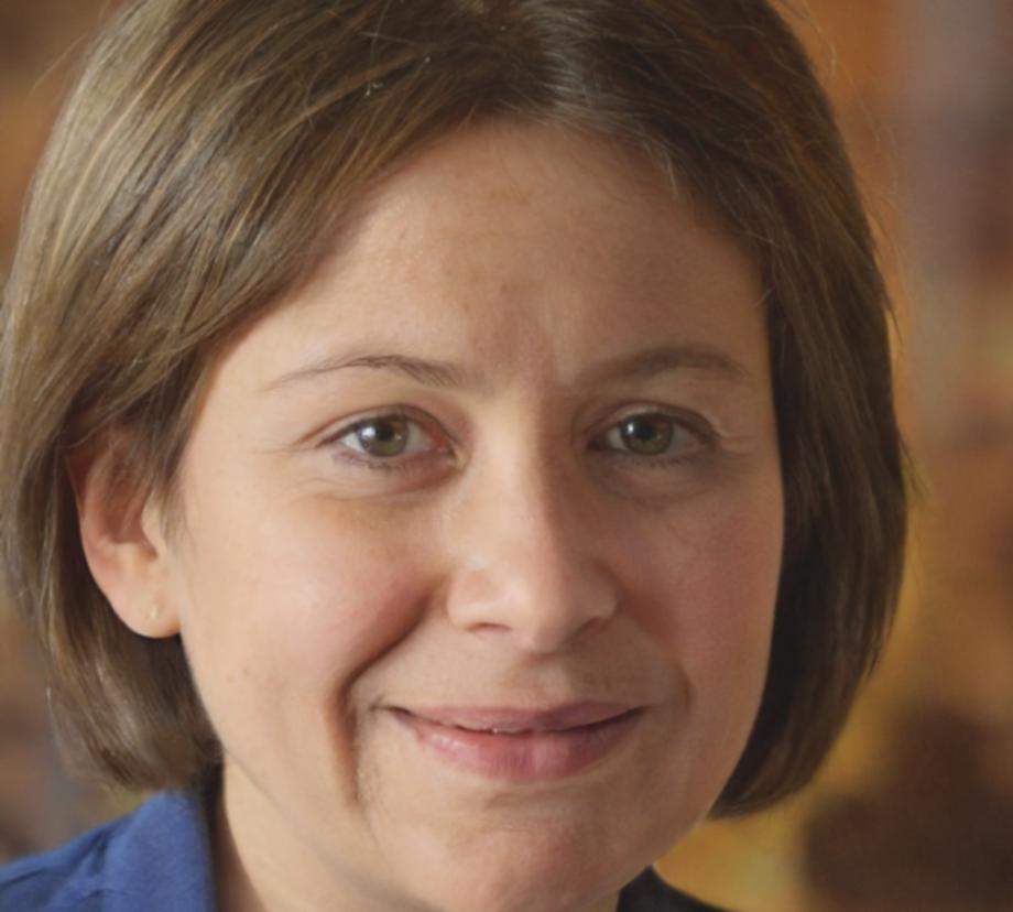 Elina Korhonen, Unternehmensberaterin