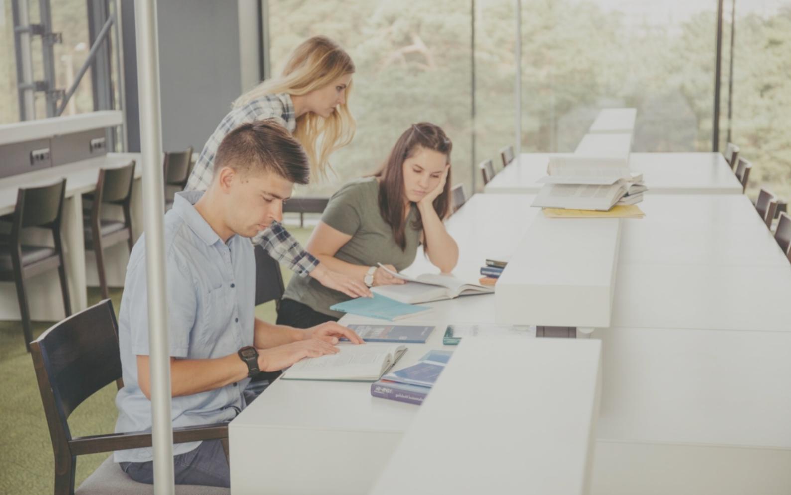 Praktische Anwendung von Analysemethoden